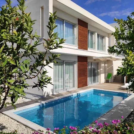 Konia * Paphos